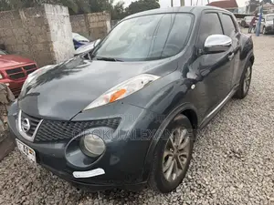 Nissan Juke 2011 Gray