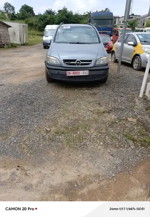 Opel Zafira 2002 Gray