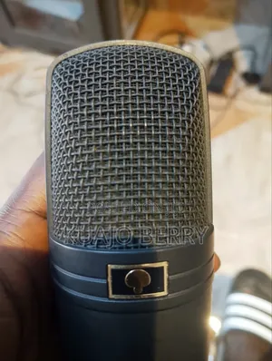 Microphone