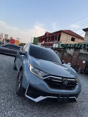 Honda CR-V EX-L 2021 Gray