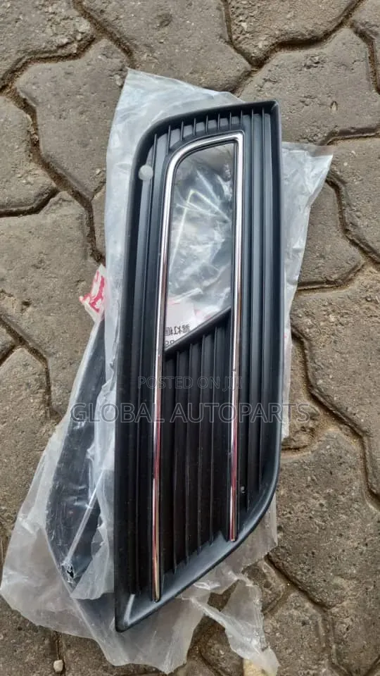 Front and Bumper Grill