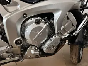 Yamaha FZ 2009