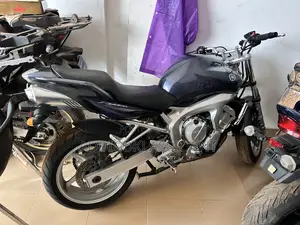 Yamaha FZ 2009