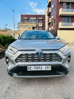 Toyota RAV4 Hybrid 2020 Gray