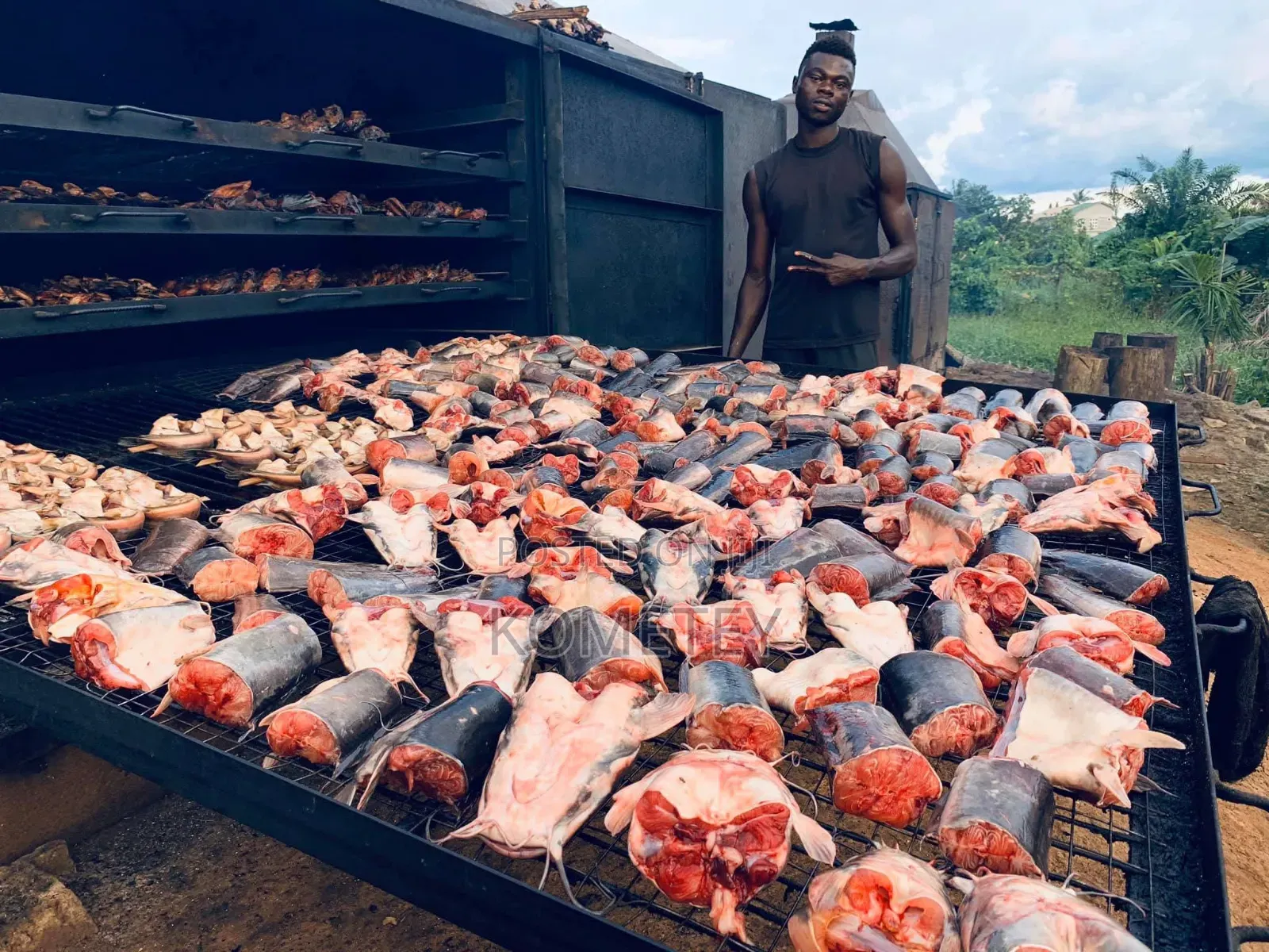 Worker Needed for Catfish Farming LCT Central Region With Accommodatn