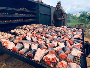 Worker Needed for Catfish Farming LCT Central Region With Accommodatn