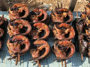 Worker Needed for Catfish Farming LCT Central Region With Accommodatn