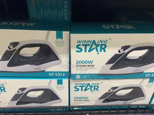 Electric Steam Iron