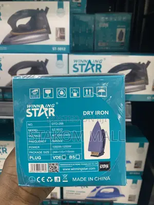Electric Steam Iron