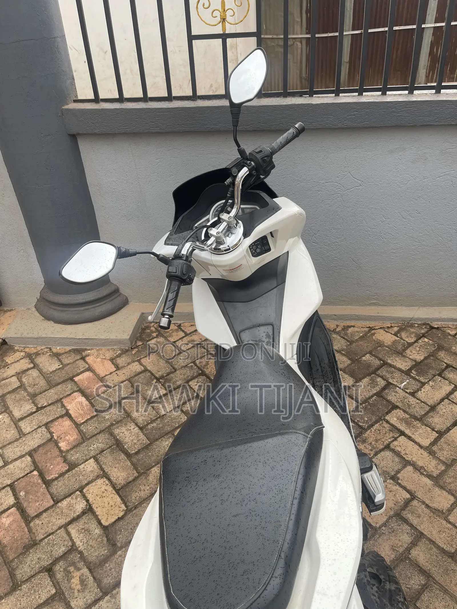 Honda 2024 White