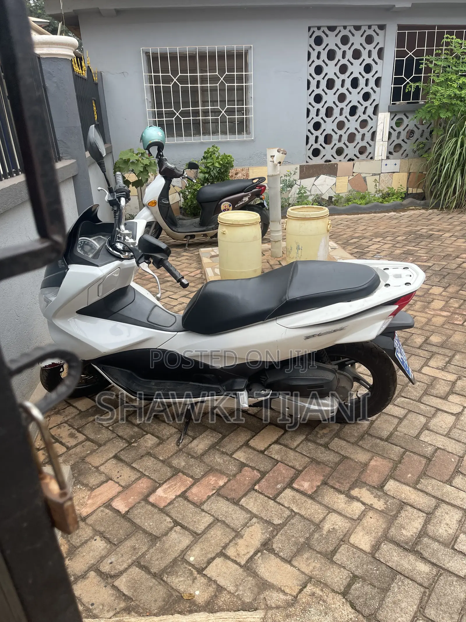 Honda 2024 White