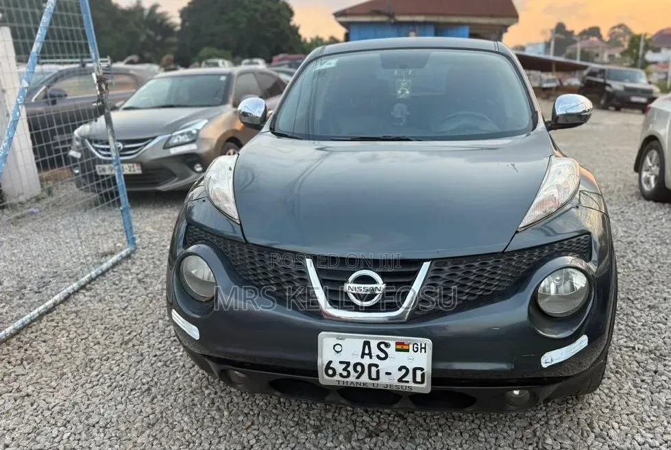 Nissan Juke 2011 Gray