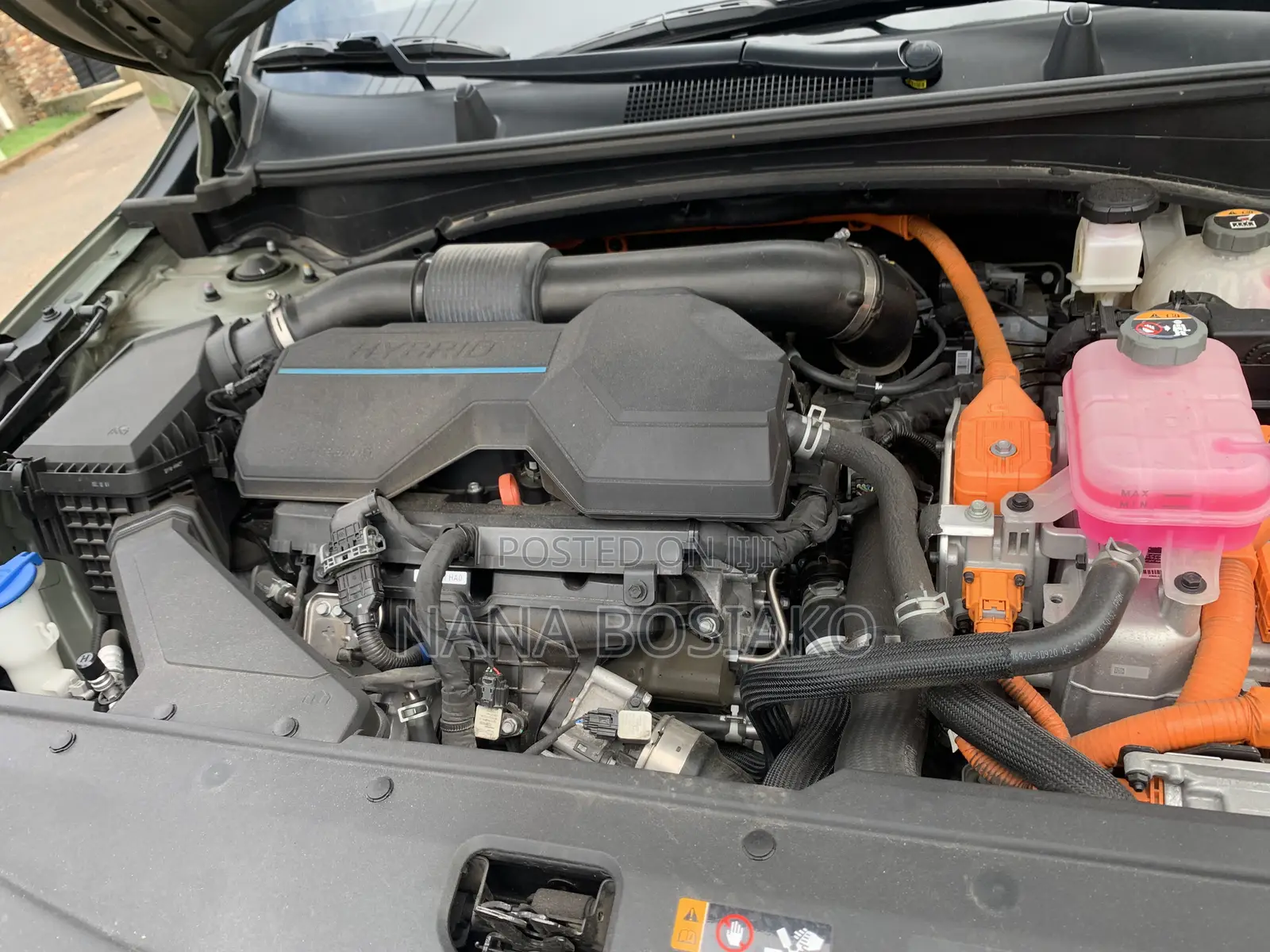 Kia Sportage 2022 Green