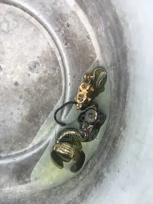 Nokta Makro Gold Detector