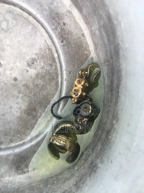 Nokta Makro Gold Detector