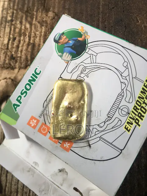 Nokta Makro Gold Detector