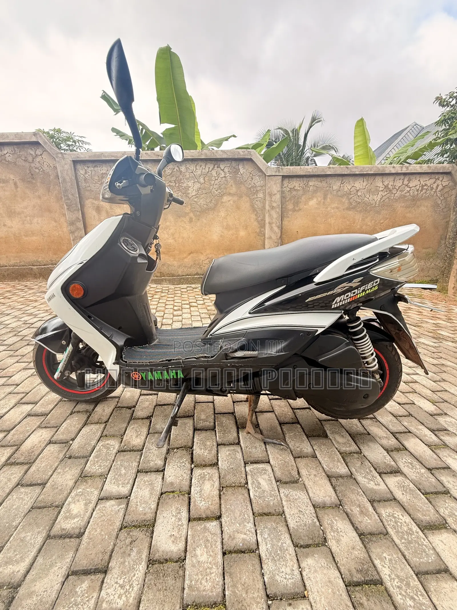 Yamaha 2023 White