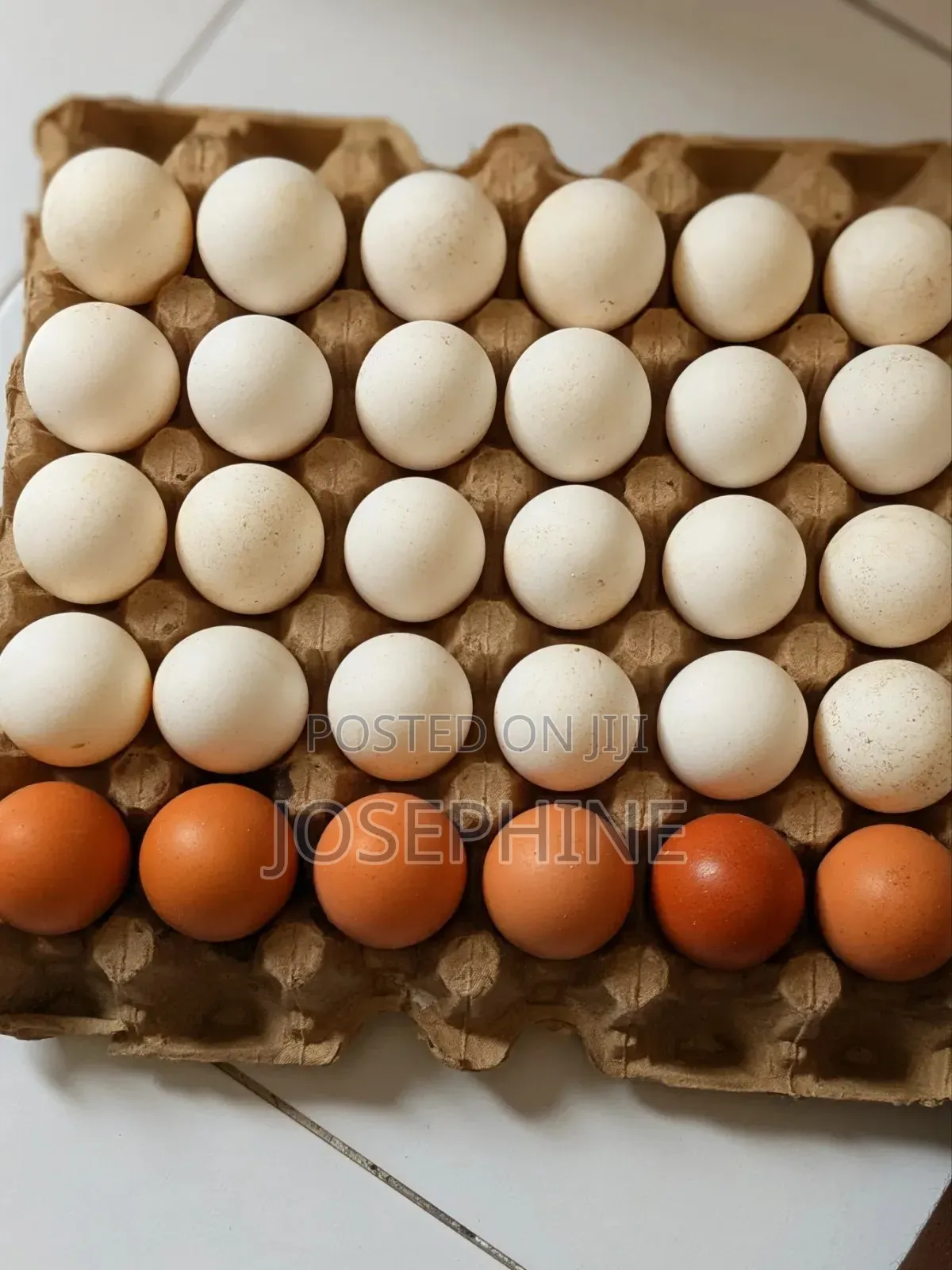 Fresh Eggs