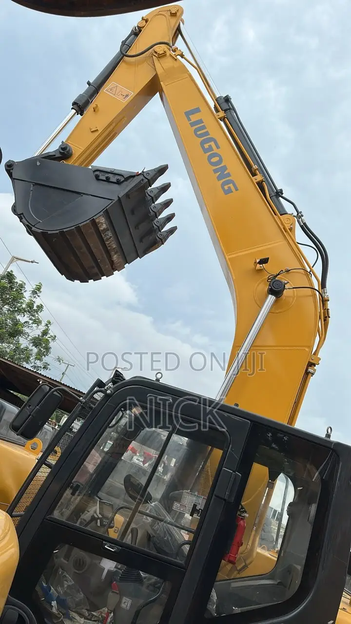 Luigon Excavators for Sale