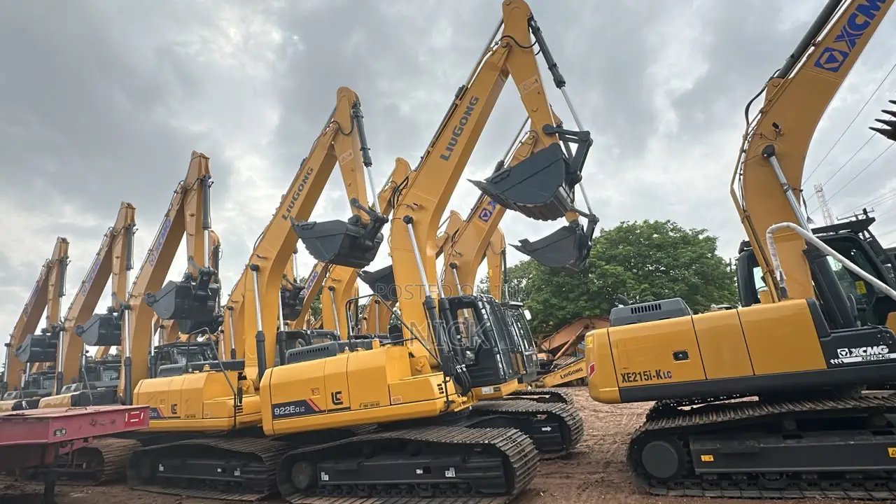 Luigon Excavators for Sale