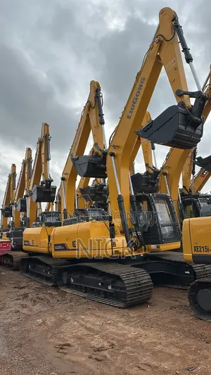 Luigon Excavators for Sale