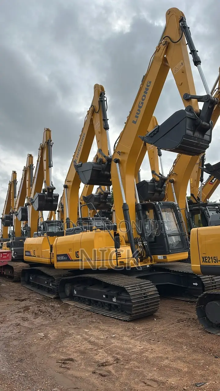 Luigon Excavators for Sale