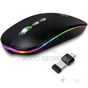 Computer Mouse