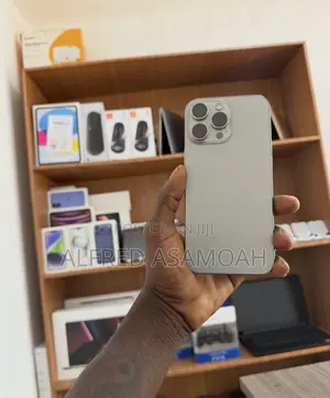 Apple iPhone 16 Pro Max 256 GB Silver