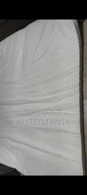Throyal Latex Mattress
