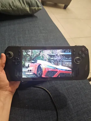 Asus Rog Ally X