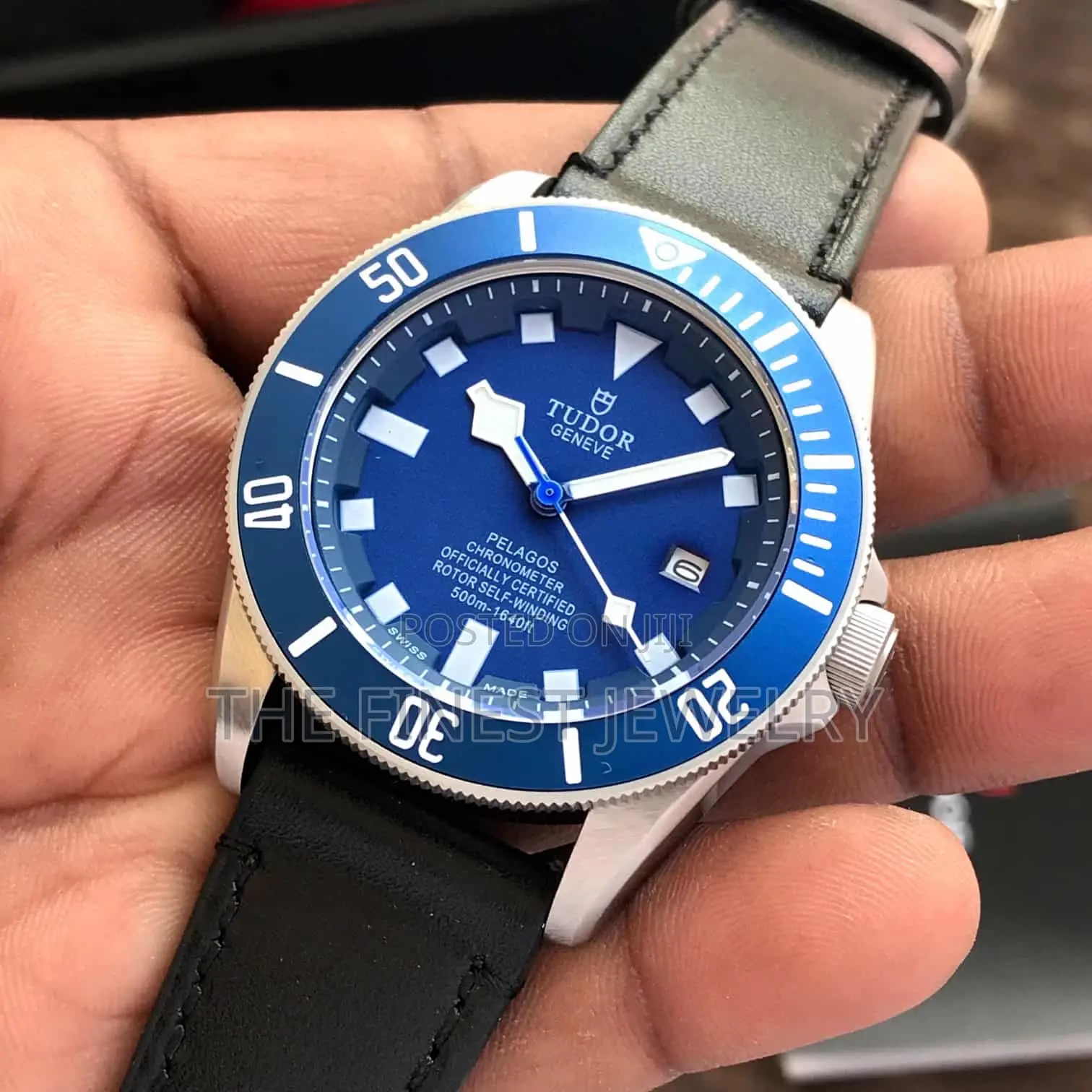 Tudor Pelagos Blue Watch