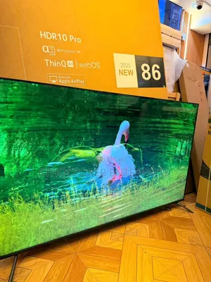 Television