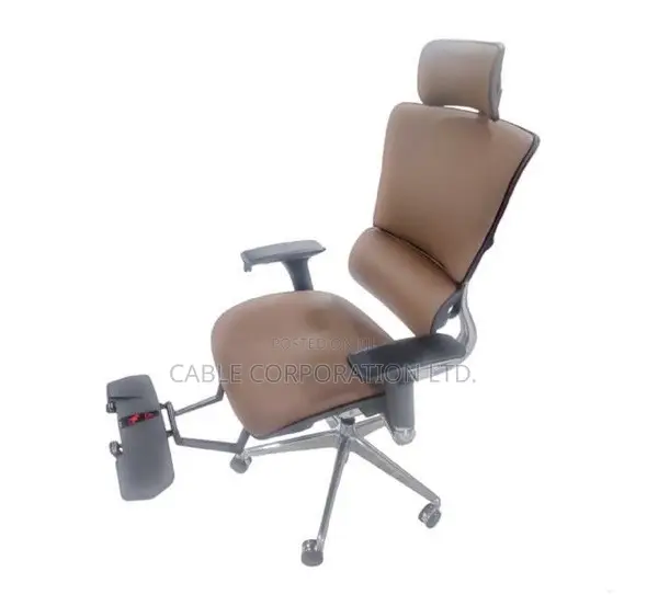Ergonomic Office Chair With Footrest