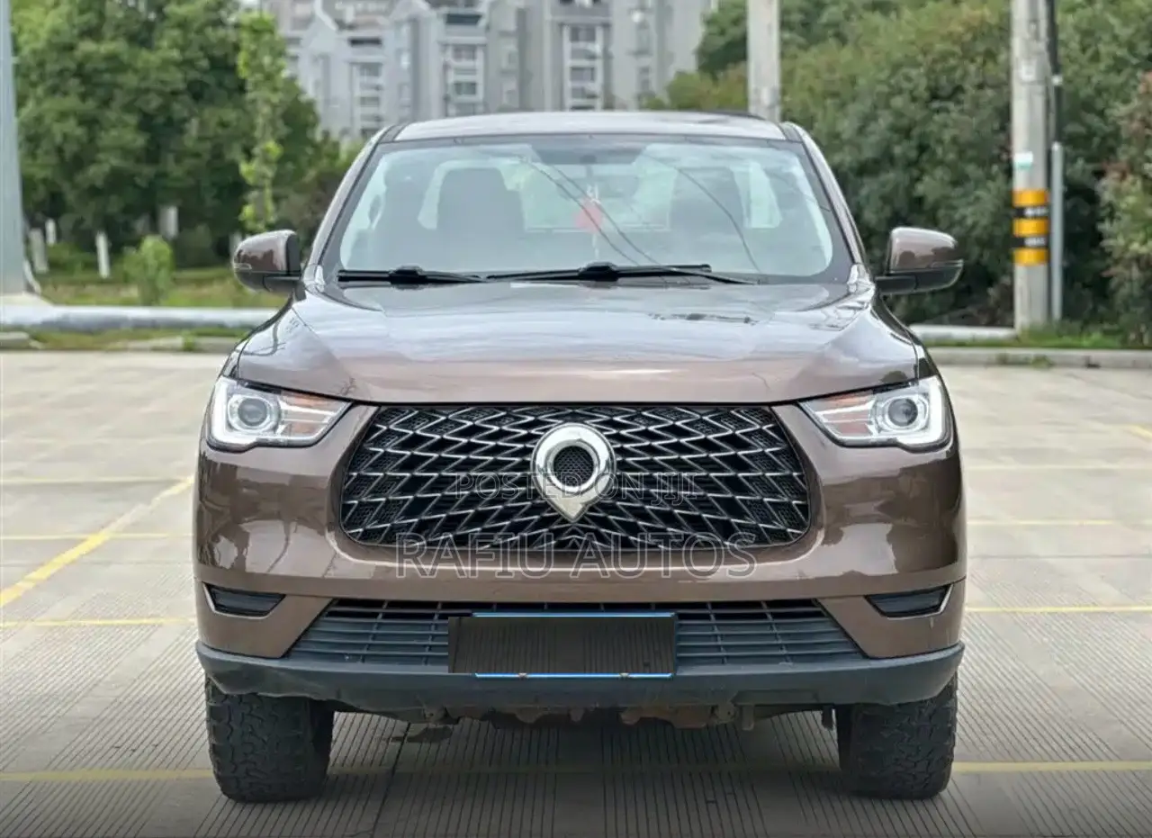 Great Wall Pao 2020 Brown