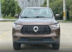 Great Wall Pao 2020 Brown