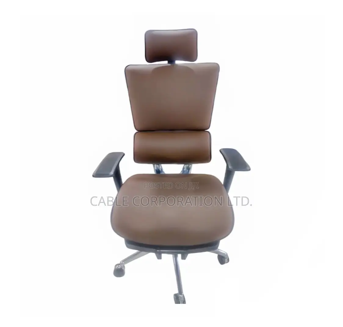 Ergonomic Office Chair With Footrest