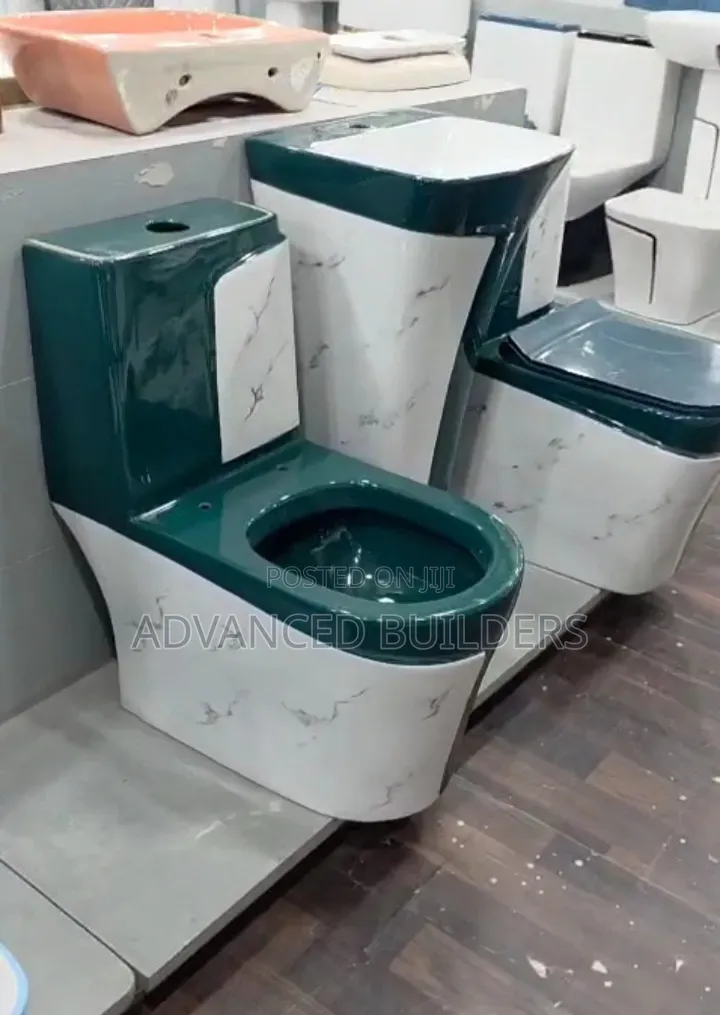 Luxurious Ceramic Water Closet and Quality Tiles