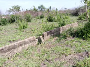 Titled 1 Plot of Land at Kaneshi