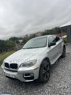 BMW X6 M Sport 2014 Silver