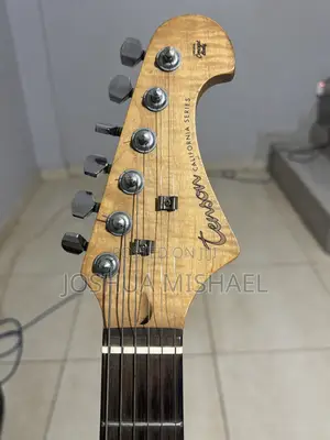 Tenson Electric Guitar (California Series)