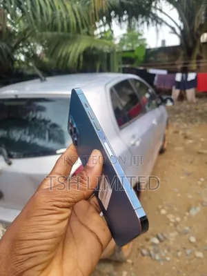 Apple iPhone 12 Pro Max 128 GB Blue