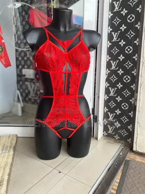 Body Stockings and Lingerie