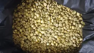 Raw/ Roasted/ Grounded Coffee Beans and Powder.