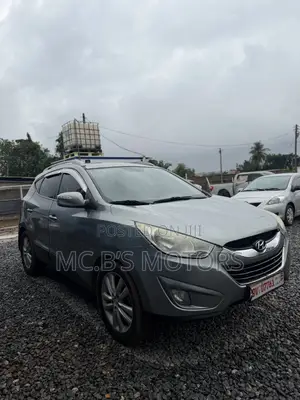 Hyundai Tucson 2013 Silver