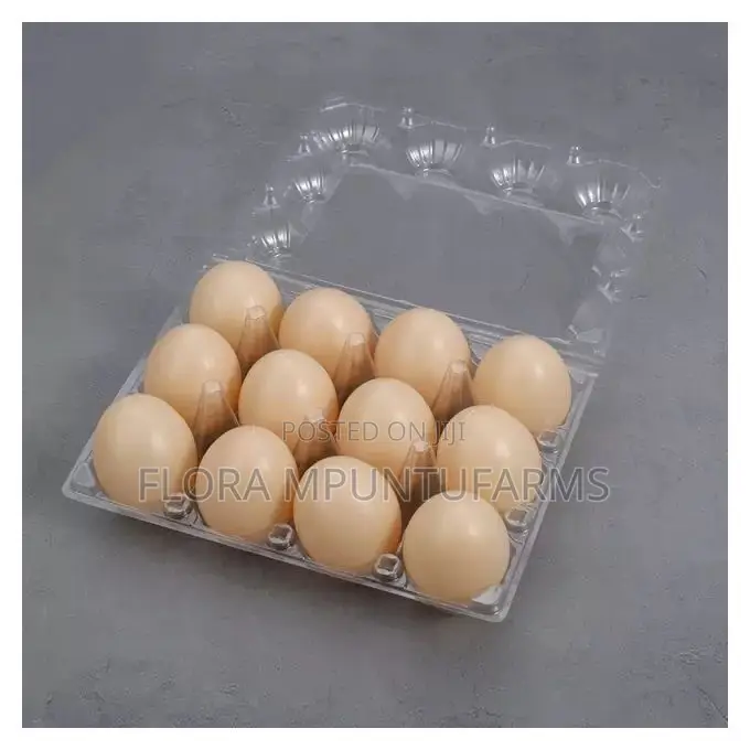 Transparent Egg Crates