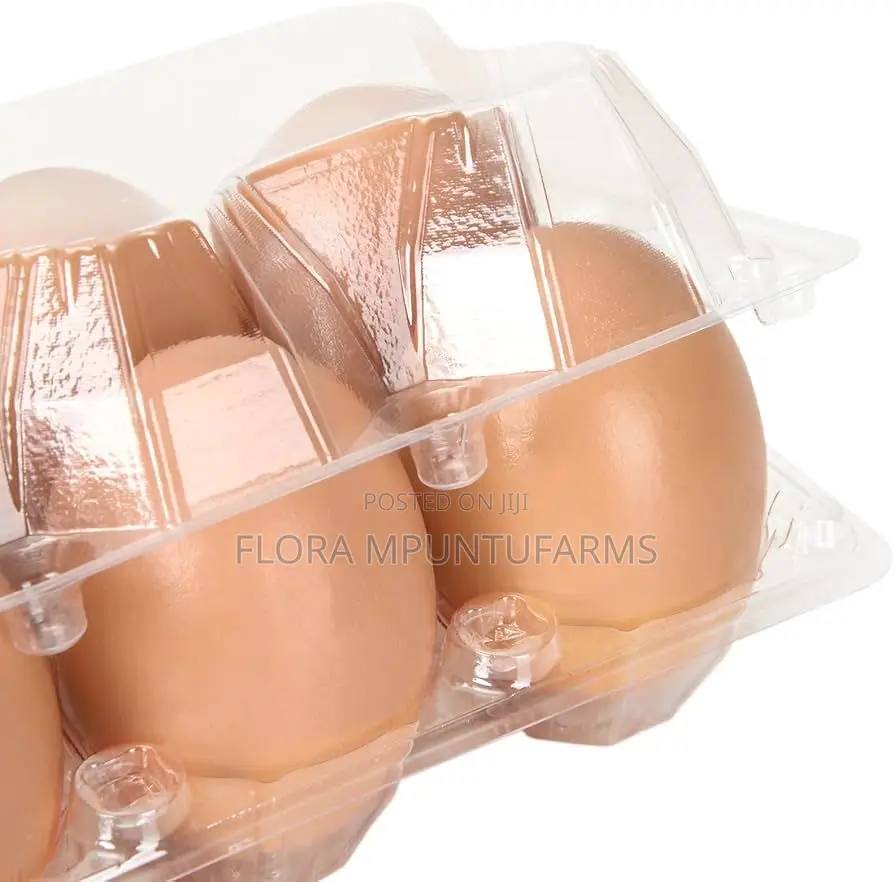 Transparent Egg Crates