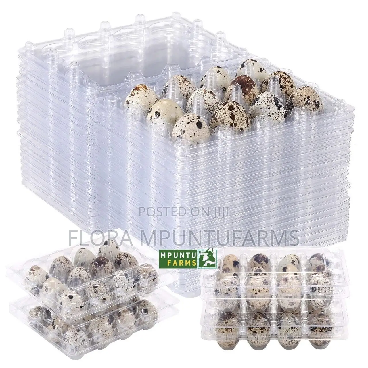 Quail Egg Crates