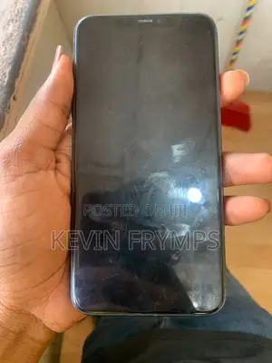 Apple iPhone 11 Pro Max 256 GB Gray