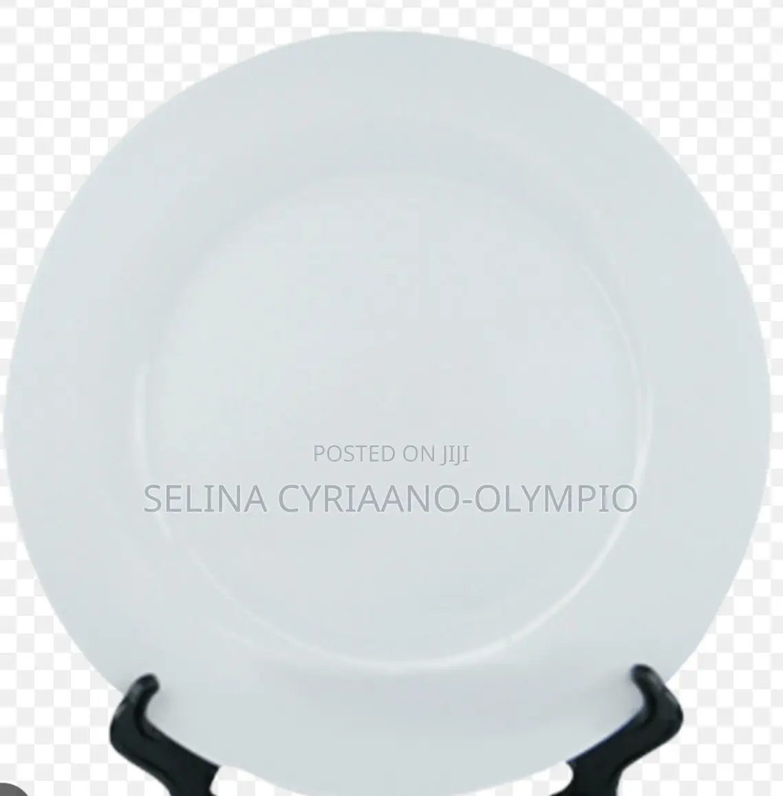 Ceramic Plate for Rent