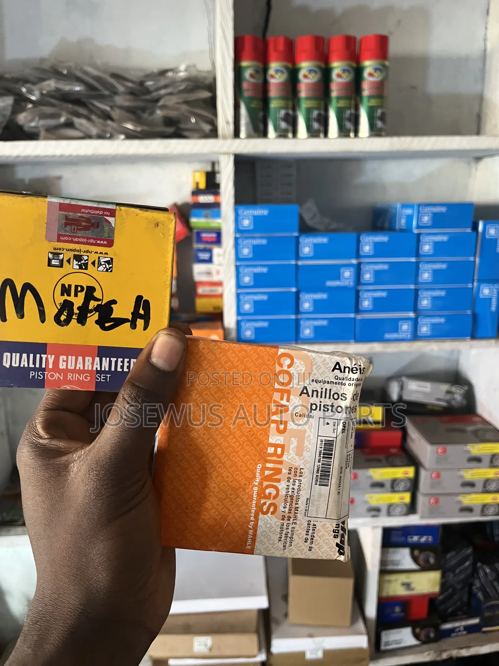 Piston Rings For All Cars